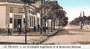 614- Le Telagh - Boulevard National2